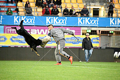 Iron von Pike`s Spirit